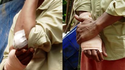 Wild elephant attack