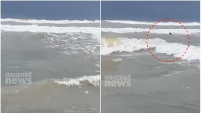 unidentified body kannur beach