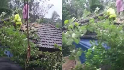 palakkad rain damage