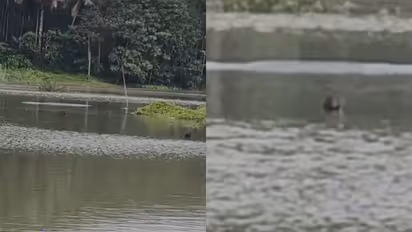 wayanad boat accidnt