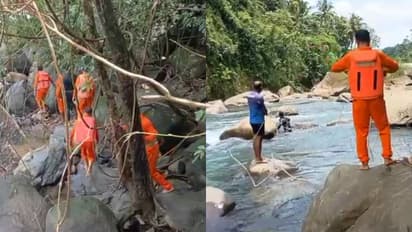 pathankayam waterfalls search