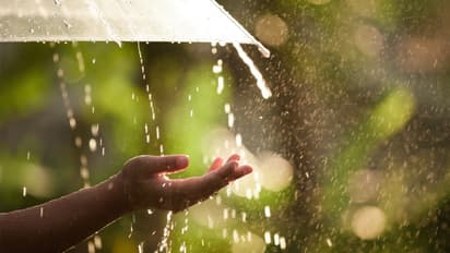 Uttar Pradesh Monsoon Update