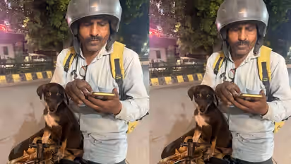 Mumbai Blinkit Delivery Partner Rescues Injured Puppy, Now Takes It Along On Delivery Runs