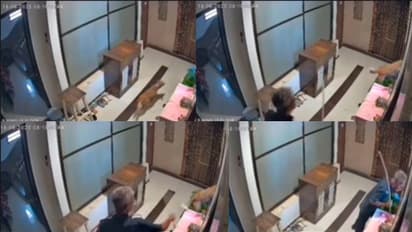 Security Guard Booked for Throwing Dog out of Window