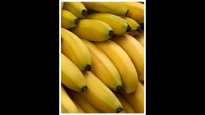 banana