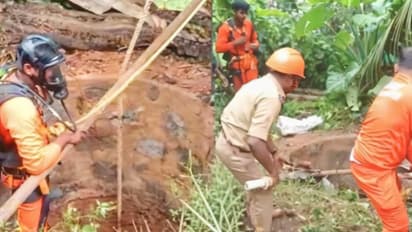 cow rescued by fire force