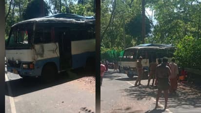 bison valley accident