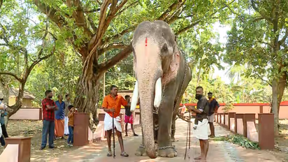 Thechikottukavu Ramachandran