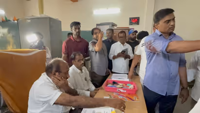 AP Municipal Elections