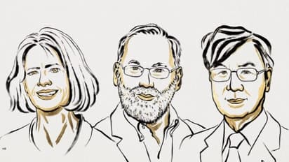 Nobel Prize 2025 in Medicine for Discovering Immune System Secrets