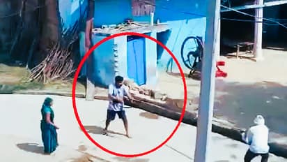 6 people shot dead in Morena