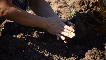 Agriculture
