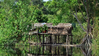 Congo Basin