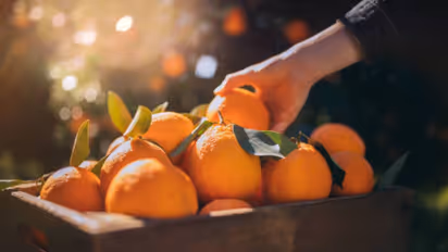 oranges