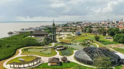 mangrove eco park gorai