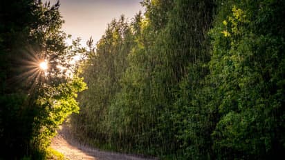 sun rain north bengal kolkata weather
