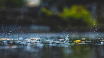 rain winter kolkata north bengal