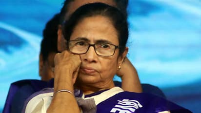 Mamata