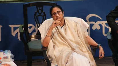 Mamata