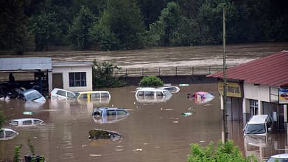Himachal Pradesh floods Death toll rises to 303