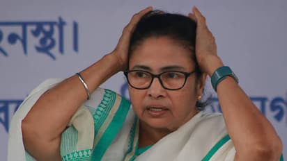 Mamata