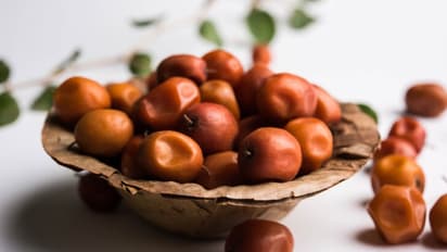 Indian jujube