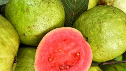 Guava 