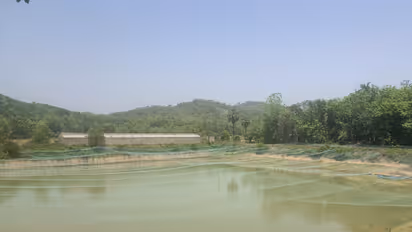 കാവാലം ചിറ