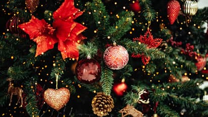 Christmas celebration