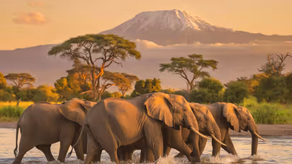 Amboseli National Park