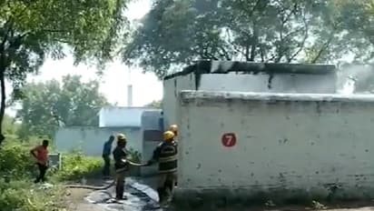 Sivakasi Firecrackers