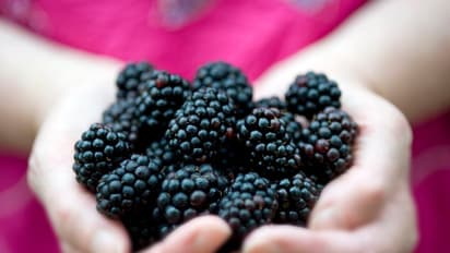 Blackberries