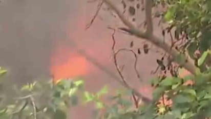 Massive fire at a government office in Alipore two fire tenders at the scene