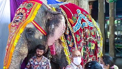 Goddess Meenakshi Amman temple,