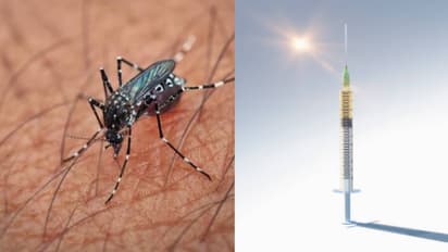  vaccine for chikungunya