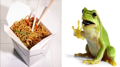 frog noodles