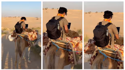 zoo call while riding a camel