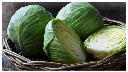 cabbage