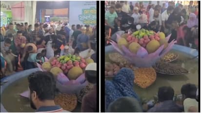 Bangladesh National Fruit Fair