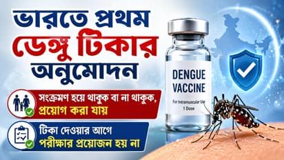India approves first dengue vaccine QDENGA