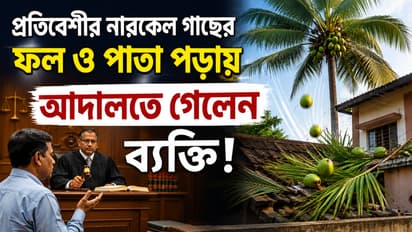 A man went to court after his neighbor coconut tree fell fruit and leaves surprising even the judge