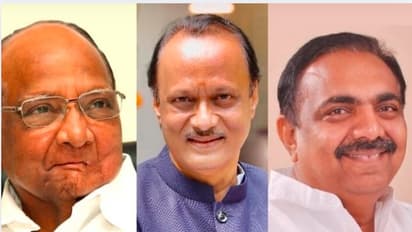 sharad pawar ajit pawar and jayant patil