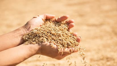 Know some unknown facts about Poyla Boisakh