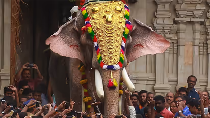 Thechikottukavu Ramachandran