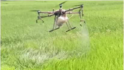 drone protection in chekadi paddy field