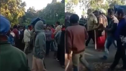 assam meghalaya border firing