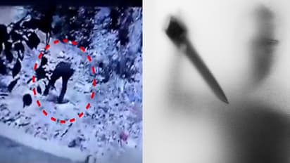 Delhi Mother and son killed stepfather