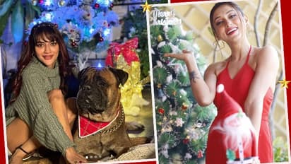 Christmas Celebration