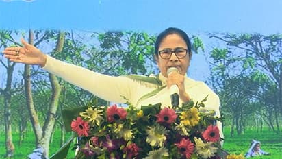 mamata