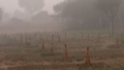 weather News of Rajasthan